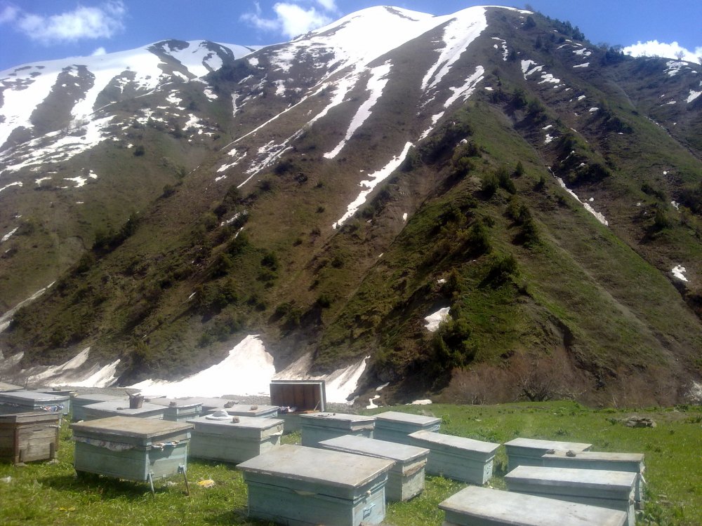 Kyrgyzstan Mountains